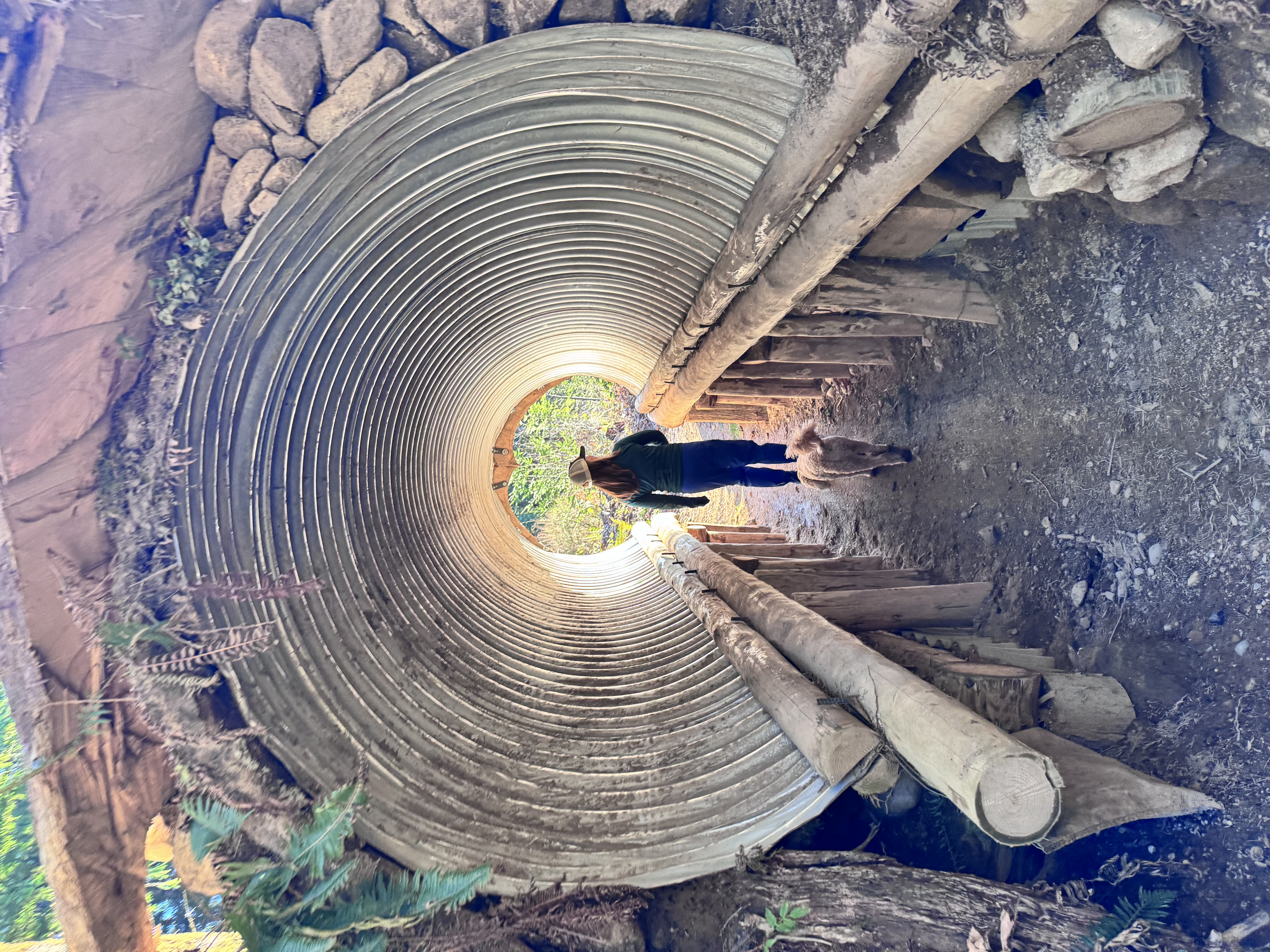 Woman and dog walking through a tunnel toward light